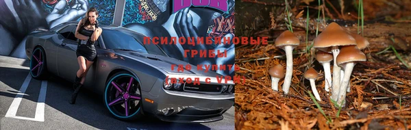 COCAINE Краснотурьинск