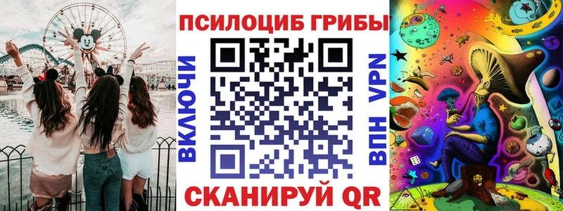 Купить закладки  Аргун  Псилоцибиновые грибы прущие грибы 