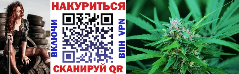 Канабис семена  Купить  Аргун 